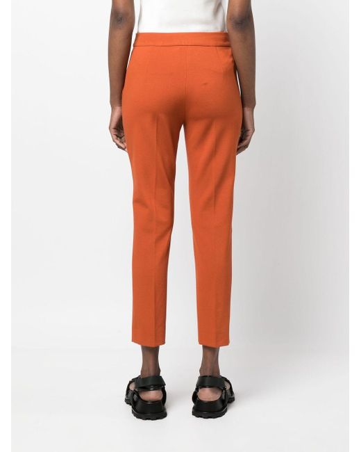 Pantalon slim à coupe courte Max Mara en coloris Orange