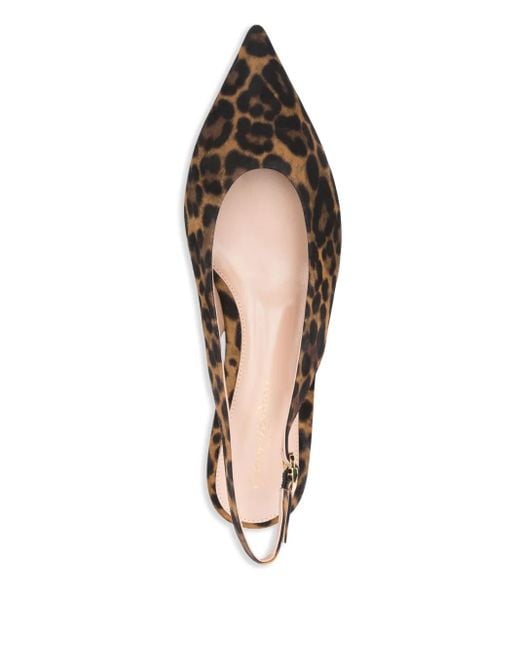 Gianvito Rossi Robbie フラットシューズ Brown