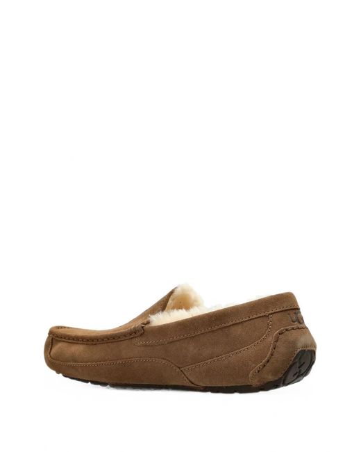 Ugg Brown Ascot Calf Suede Loafers for men