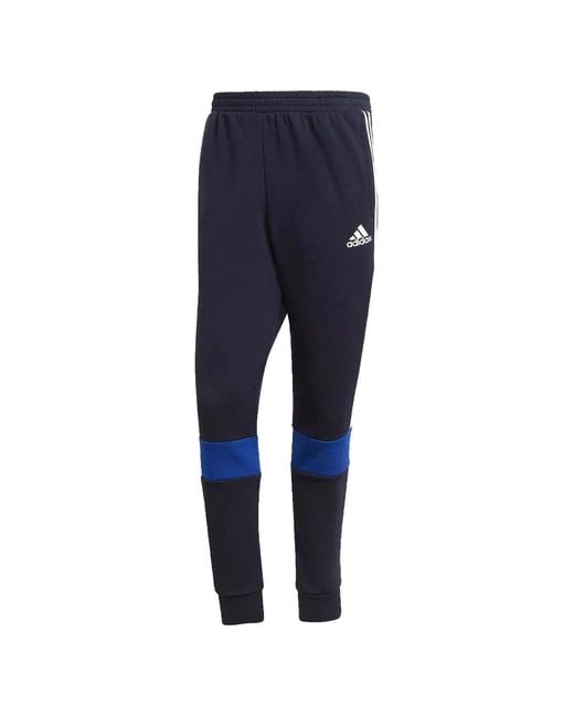 Adidas Blue Colourblock Track Pants for men