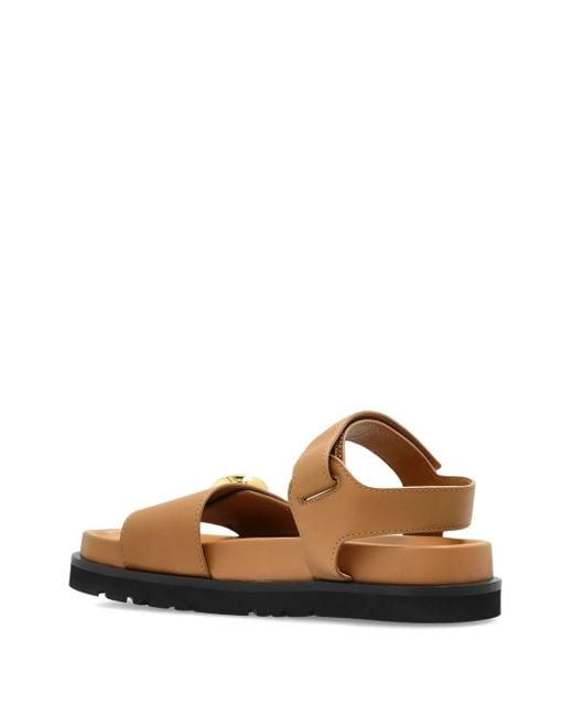 Loewe Brown Leather Button-Embellished Sandals