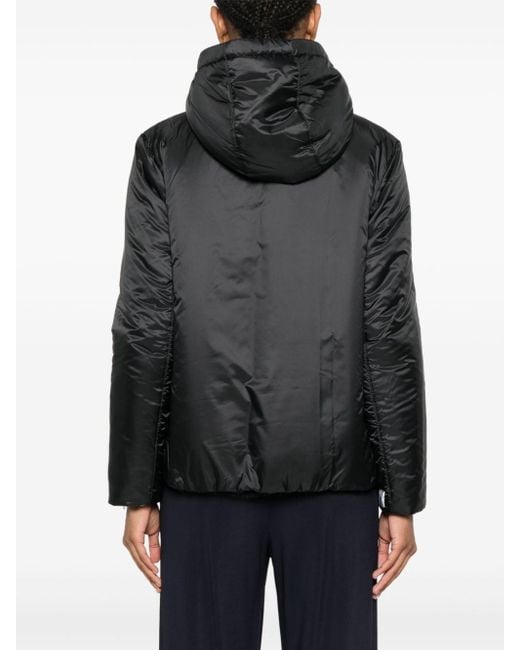 Max Mara Black Coats & Jackets