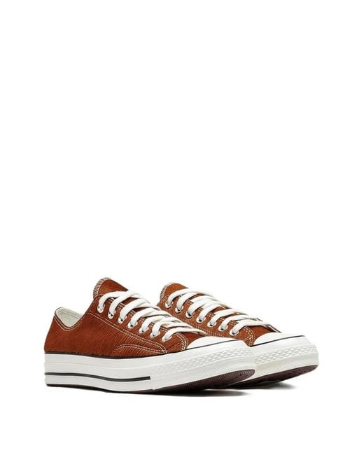 Converse Brown Chuck 70 Sneakers for men