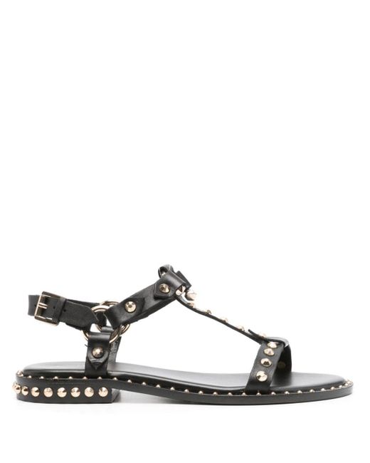 Ash Passion Leather Sandals in het Brown