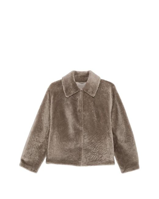 Manzoni 24 Brown Shearling-Finish Collared Jacket