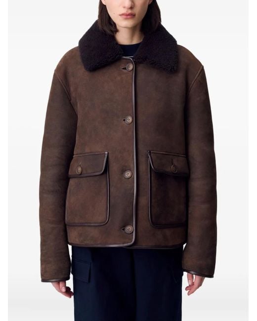 Claudie Pierlot Jack Met Lammy Kraag in het Brown