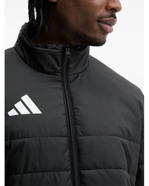 Adidas Black Entrada26 Padded Jacket for men