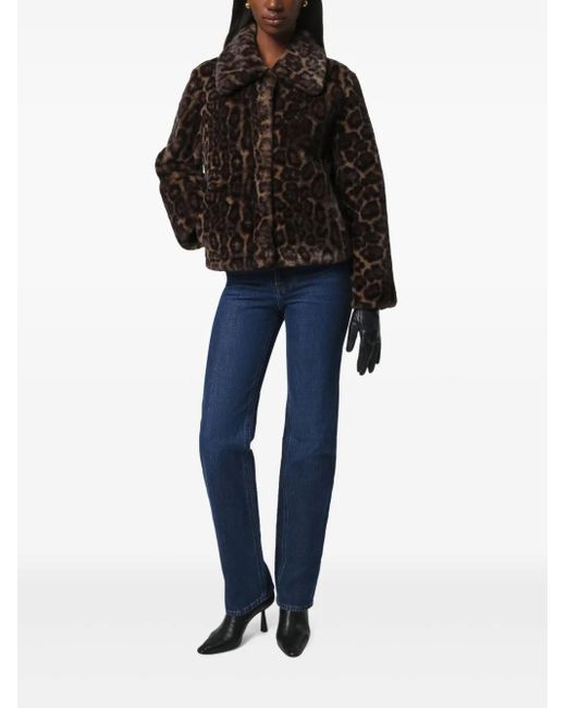 Apparis Brown Elis Leopard-Print Jacket