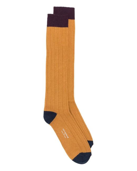 In The Box Yellow Ribbed Colour-Block Socks for men