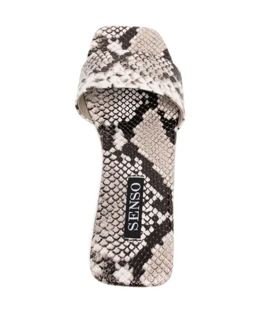 Senso White Haven Iv Sandals