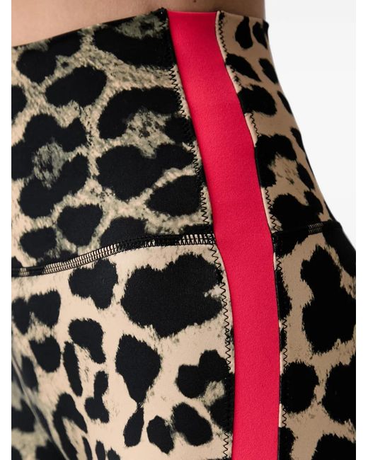 P.E Nation Black Leopard-Print Side-Stripe Leggings