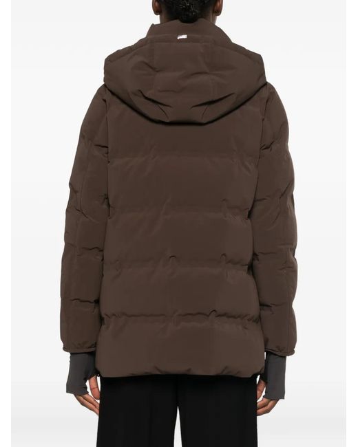 Herno Brown Hooded Quilted Jacket