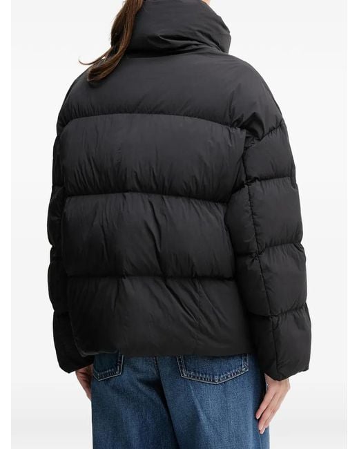 Blauer Black Padded Jacket