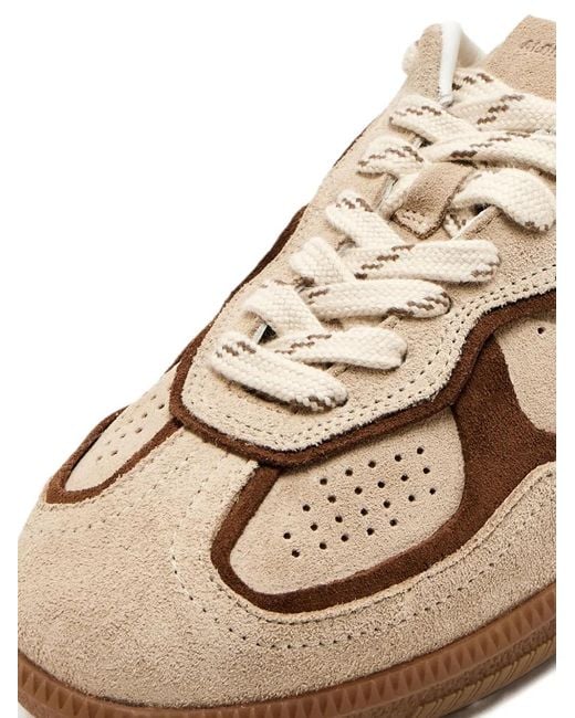 Alohas Brown Tb.490 Suede Sneaker Mules