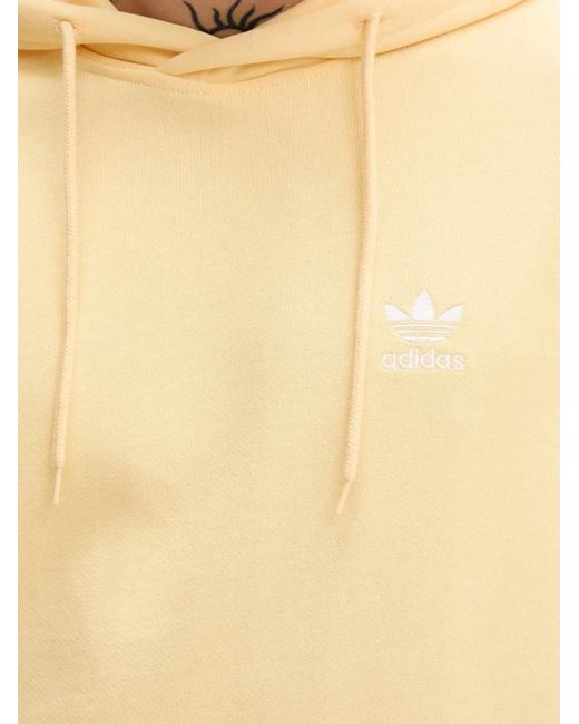 Adidas Natural Hoodie À Logo Brodé for men