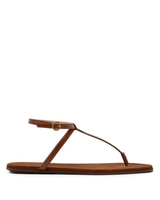 Marsèll Brown Traccia Sandals