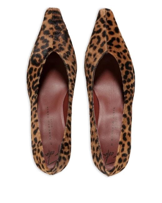 Roberto Festa Brown Falira Leopard-Print Heel Pumps