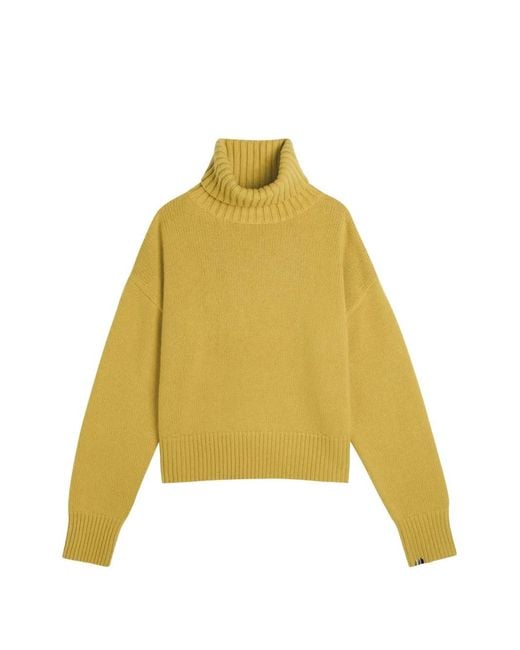 Extreme Cashmere Yellow Pull À Col Roulé