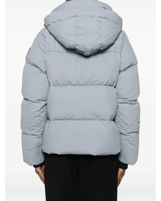 Canada Goose Gray Veste Junction