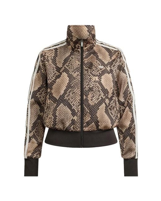 Adidas Brown Satin Snake-Print Firebird Track Jacket