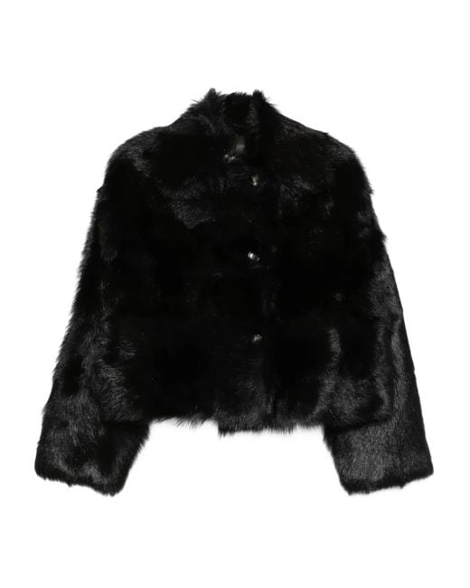 Giacca Crop Con Bottoni di Alberta Ferretti in Black