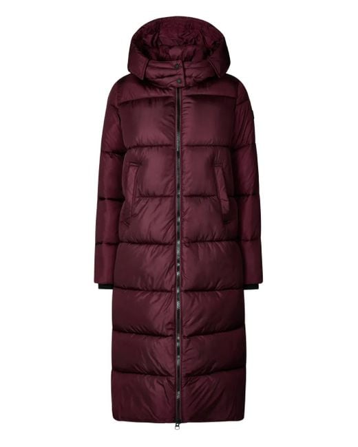 Save The Duck Purple Hooded Padded Coat