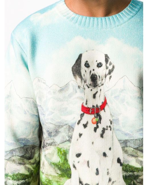 dalmatian christmas jumper