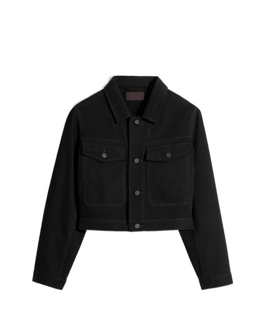 Lemaire Black Cotton Cropped Jacket