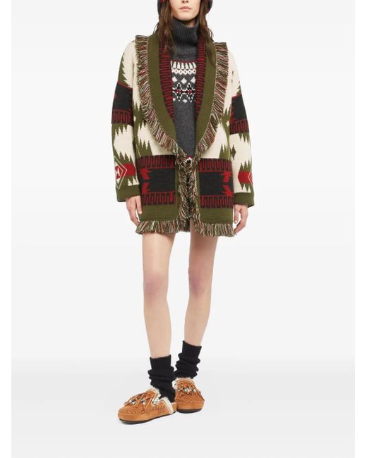 Alanui Brown Sweaters