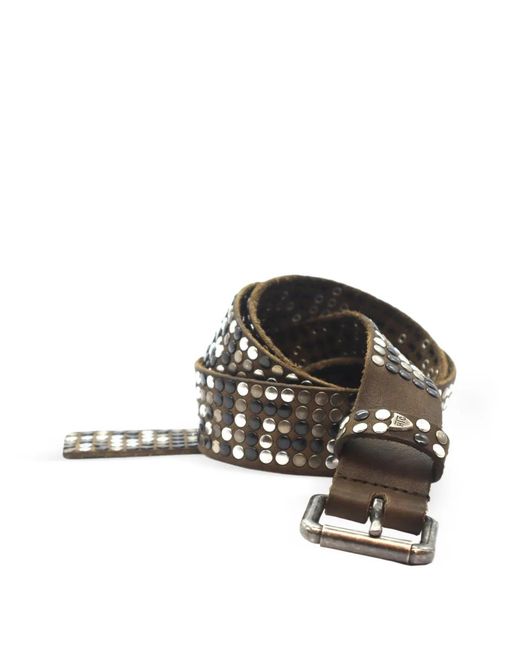 HTC Brown 5.000 Studs Leather Belt for men