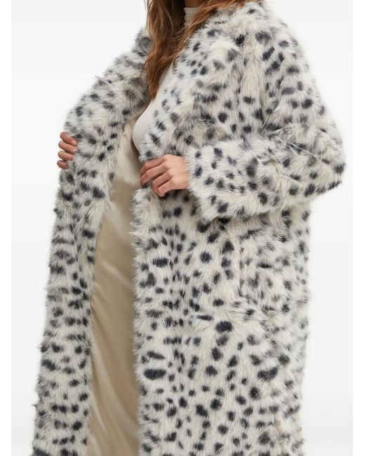 Bardot Jas Met Luipaardprint in het Gray