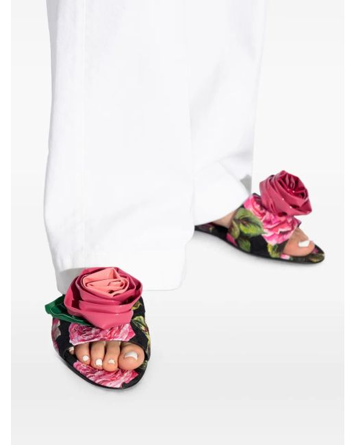 Dolce & Gabbana フローラル サンダル White