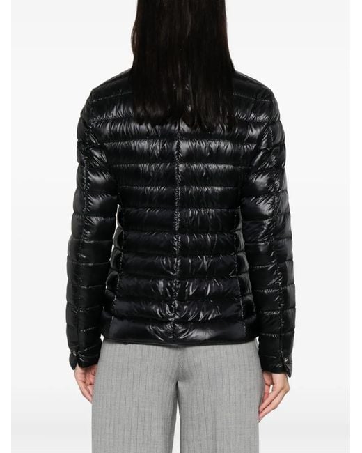 Herno Black Coats