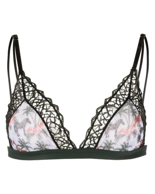 Dolci Follie Black Zebra Soft Triangle Bra