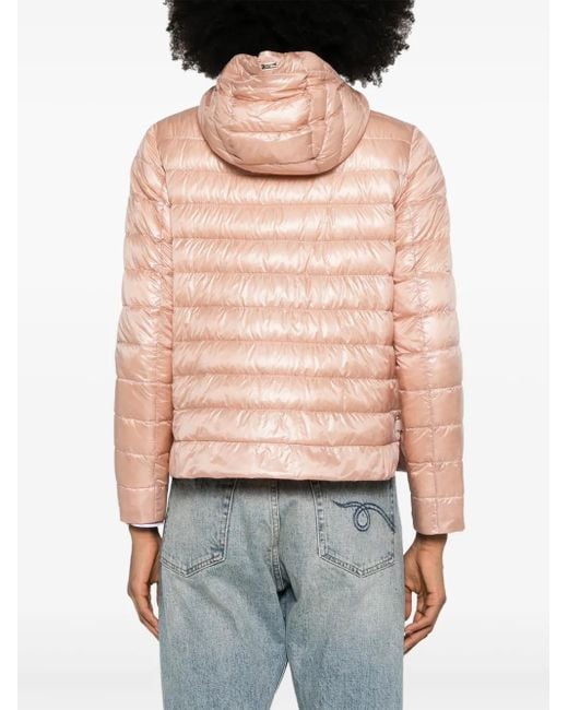 Herno Pink Elegant Jacket