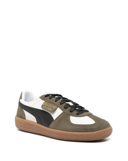PUMA Brown Sneakers for men