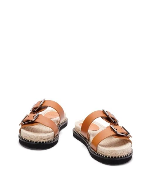 Castaner Brown Shoes