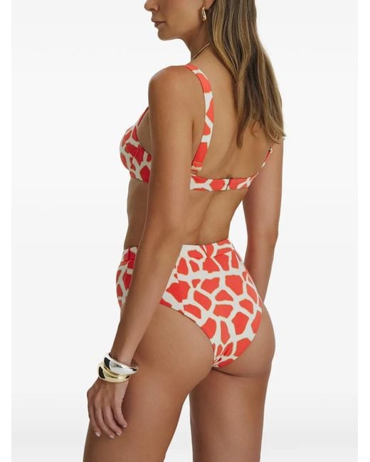 Bikini Con Estampado De Jirafa SOFIA ERHAN de color White
