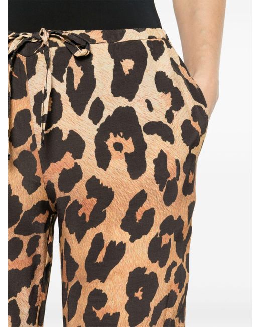 Pantalon droit à imprimé léopard Musier Paris en coloris Brown