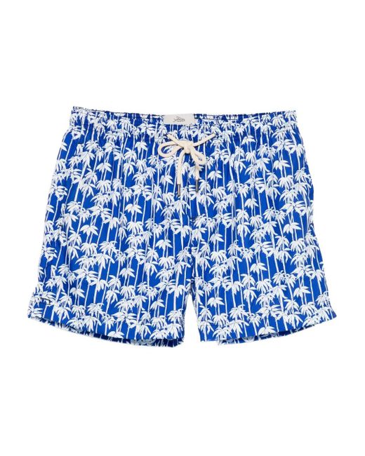 Peninsula Blue Panama Palm-Tree-Print Swim Shorts for men