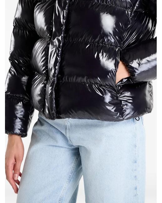 Napapijri Black Hooded Padded Jacket