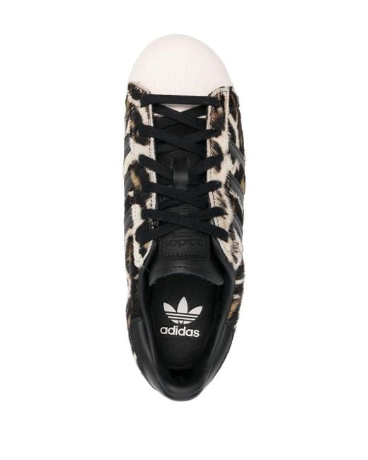 adidas Superstar Leopard-print Sneakers in Black | Lyst