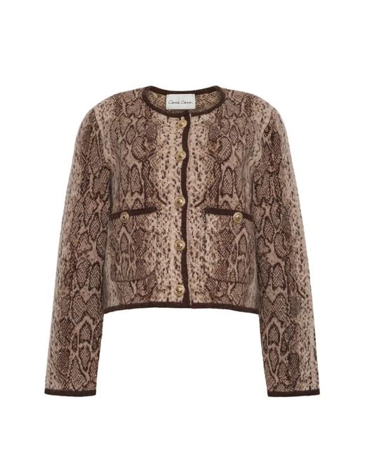 Cara Cara Brown Bristol Snakeskin-Print Cardigan