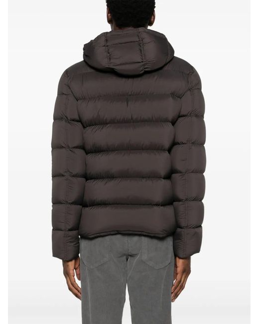Herno Gray Hooded Padded Down Jacket for men