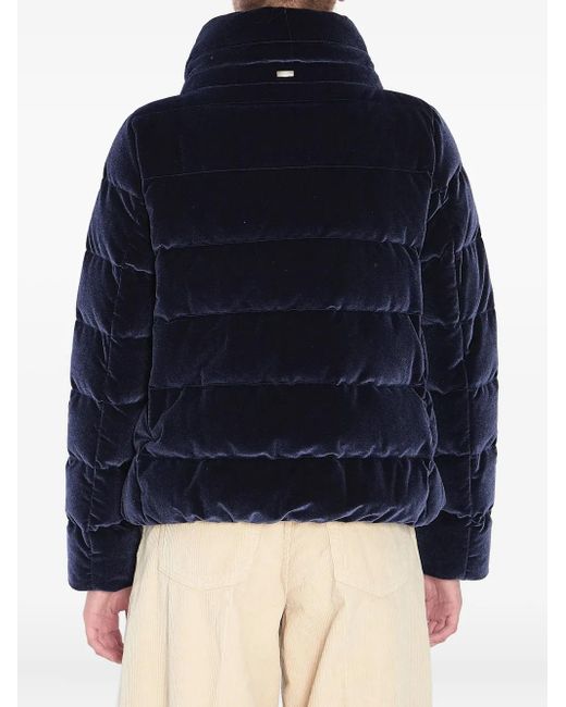 Herno Blue Velvet-Effect Jacket