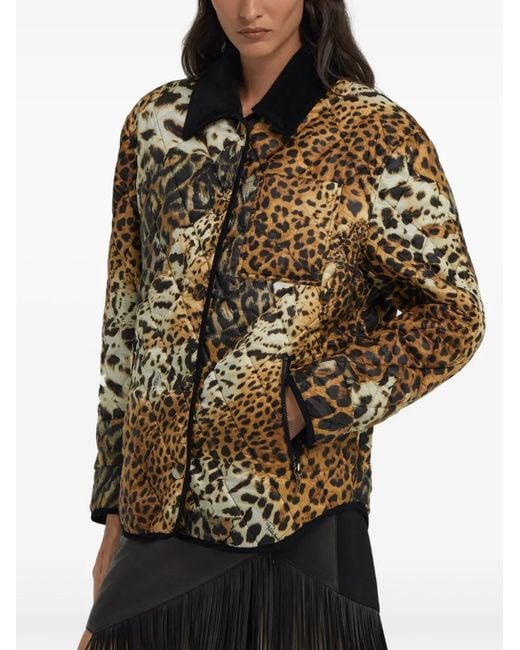 Roberto Cavalli Black Leopard-Print Jacket