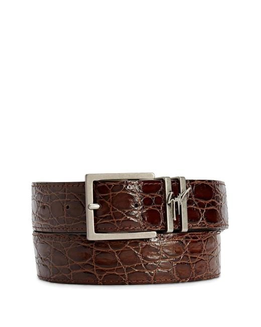 Giuseppe Zanotti Brown Teodore Belt for men