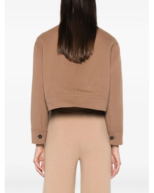 Max Mara Brown Giglio Button-Down Cropped Jacket