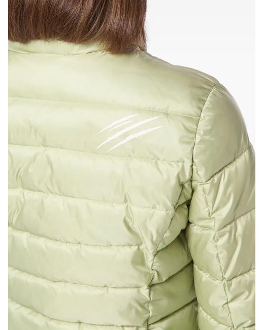 Philipp Plein Green Quilted Puffer Jacket