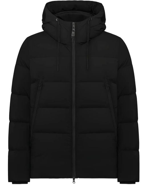 DUNO Black Jump Puffer Jacket for men